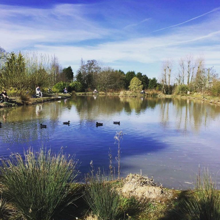 Turbary House Coarse Fishery