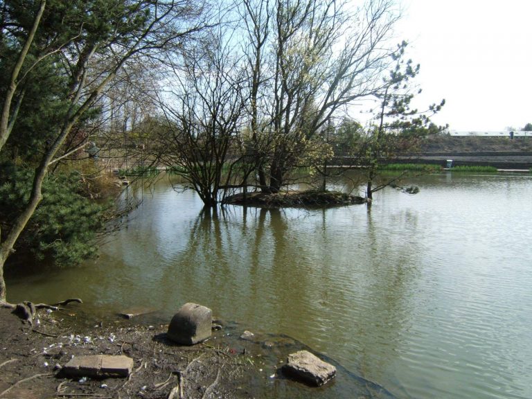 Turbary House Coarse Fishery