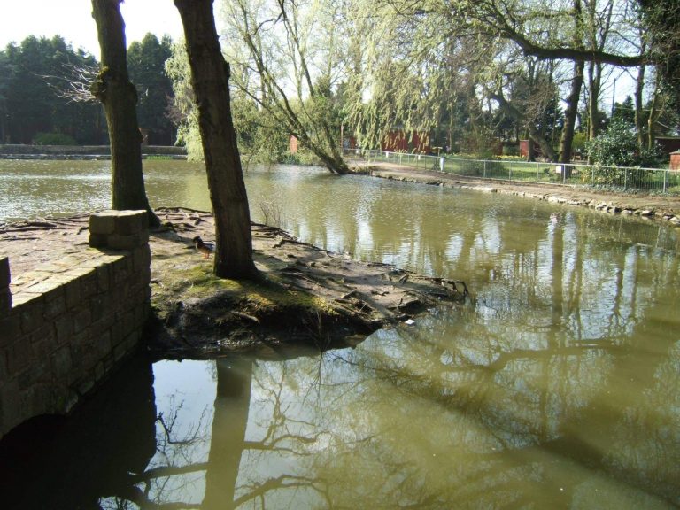 Turbary House Coarse Fishery