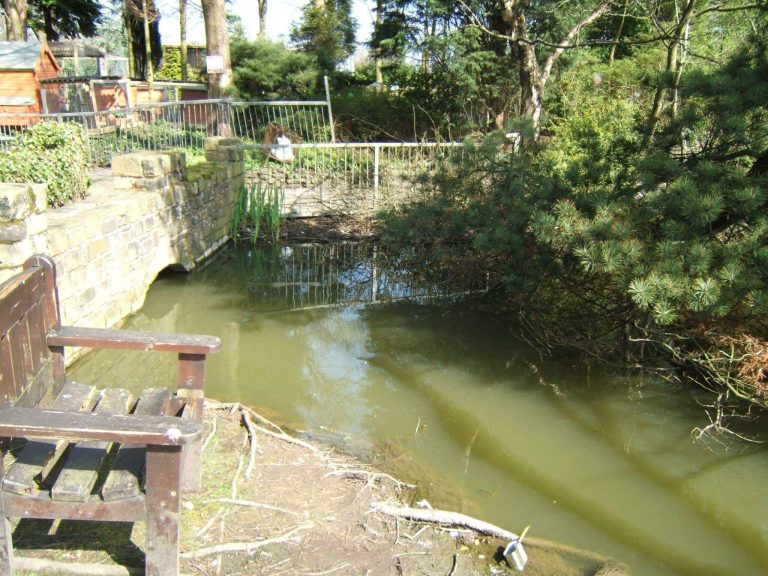 Turbary House Coarse Fishery